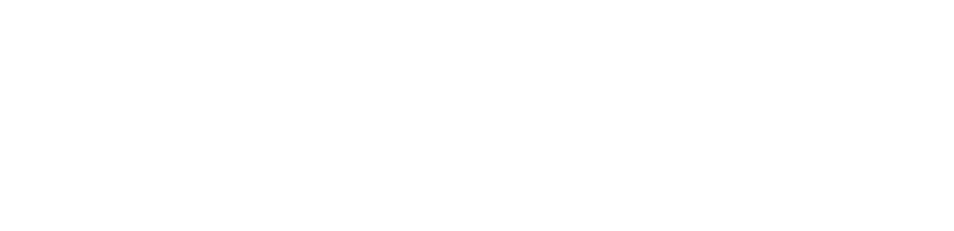 Sell-Through-Rate gleich verkaufte Einheiten geteilt durch eingekaufte Einheiten mal 100